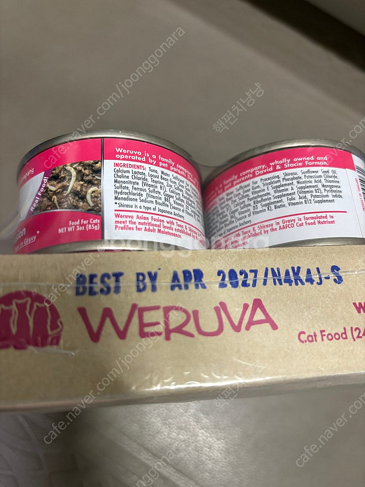 고양이 웨루바--1