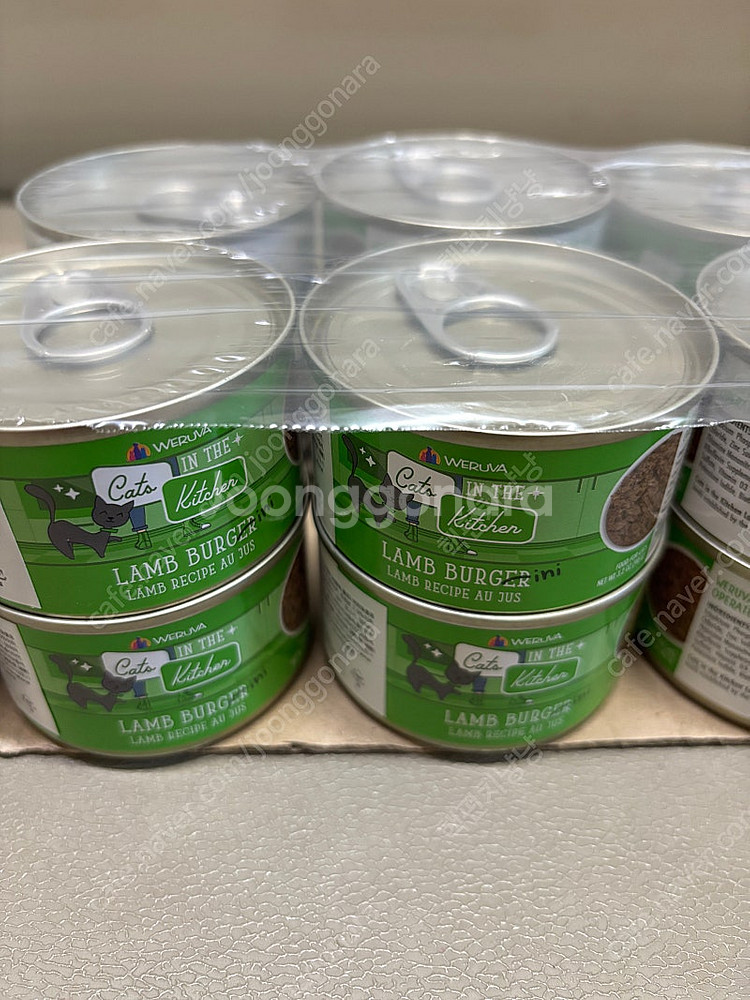 고양이 웨루바--2