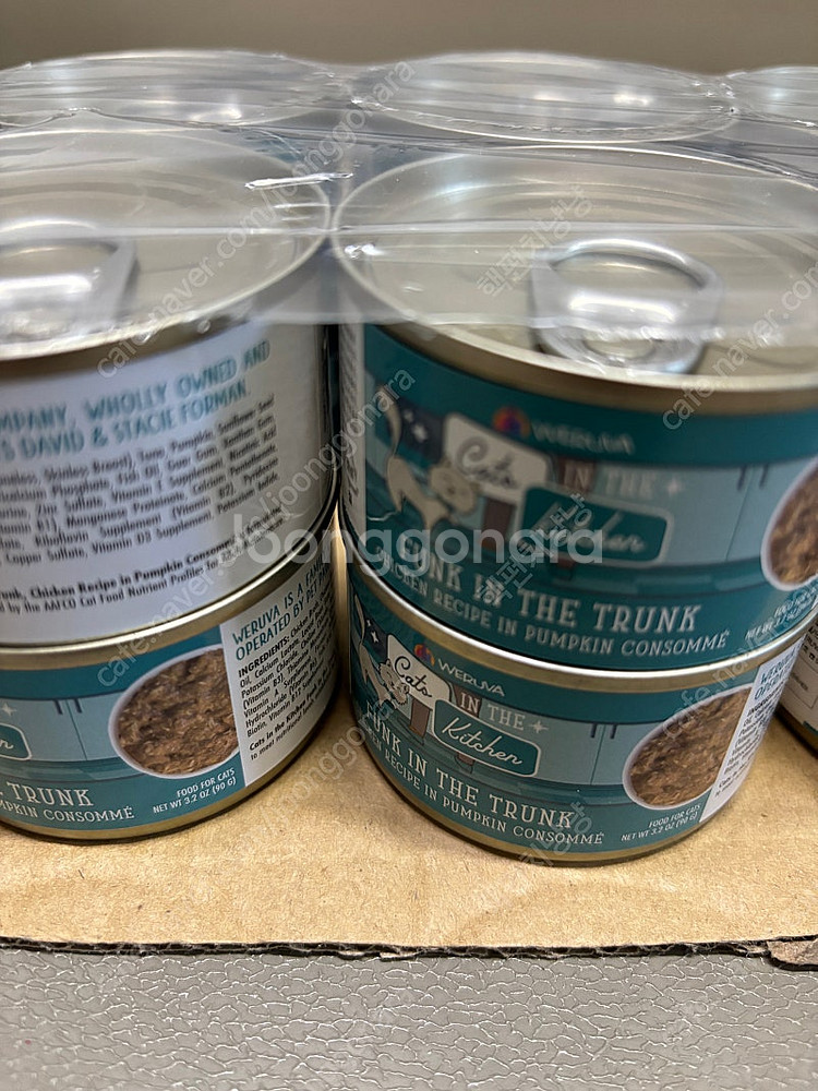 고양이 웨루바--3