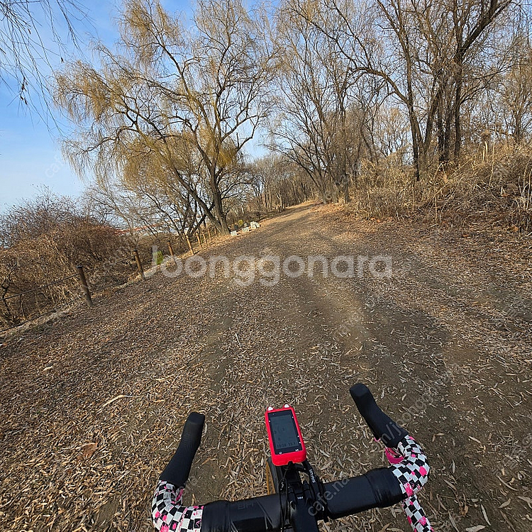 콜나고 V3 로드자전거 판매합니다.--1