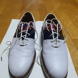 풋조이 DJ PREMIERE 프리미어 골프화 택사이즈 250판매합니다 택포