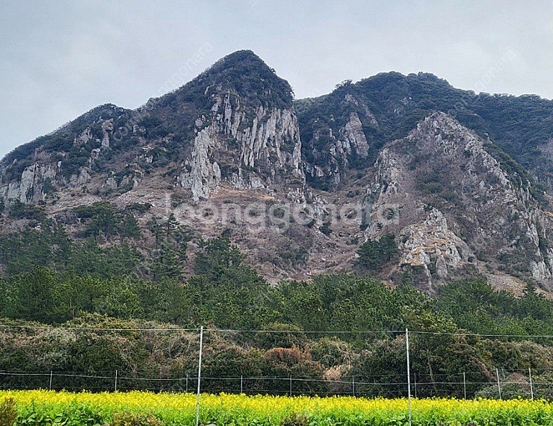 5월 어린이날 황금연휴 제주도 비행기 일정 전 노선 항...--0