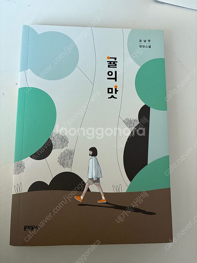 소설책 여러권 팝니다--0