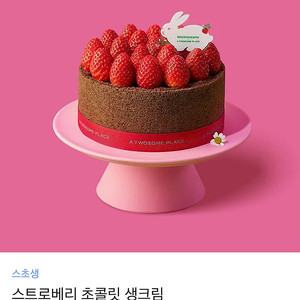 투썸플레이스 스초생