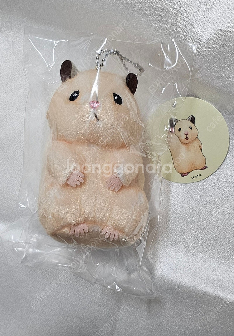 (미개봉) 제로베이스원 성한빈 애착인형 스케로쿠 뚱중햄--0
