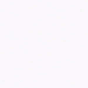 여자 배구 5차 결승전