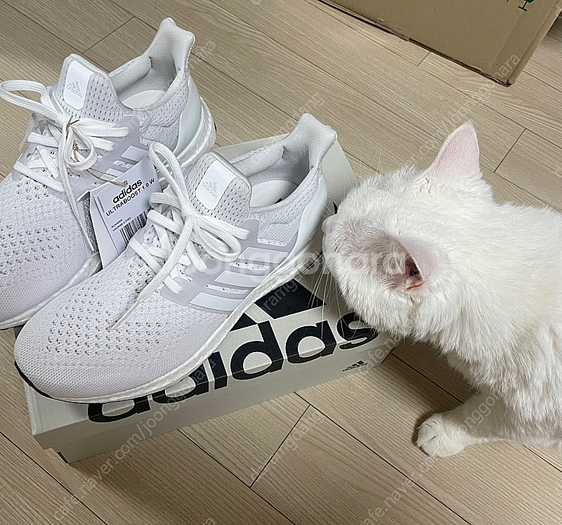 아디다스 러닝화 (235-240) ULTRABOOST ...--2
