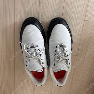 아디다스 모던 클래식 여성 골프화