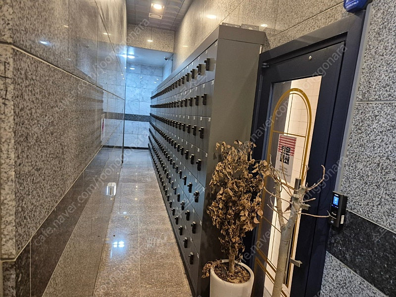 헬스장 다이얼키 개인락카 119개 이미지