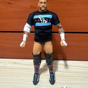 WWE 액션피규어