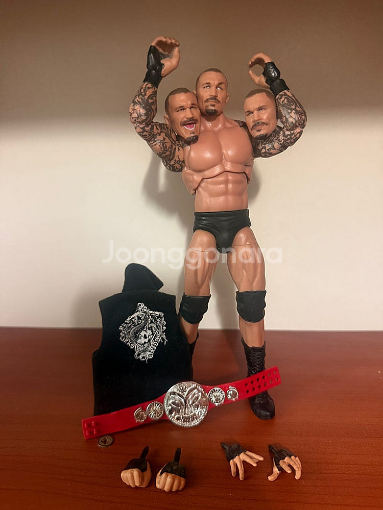 WWE 액션피규어--1
