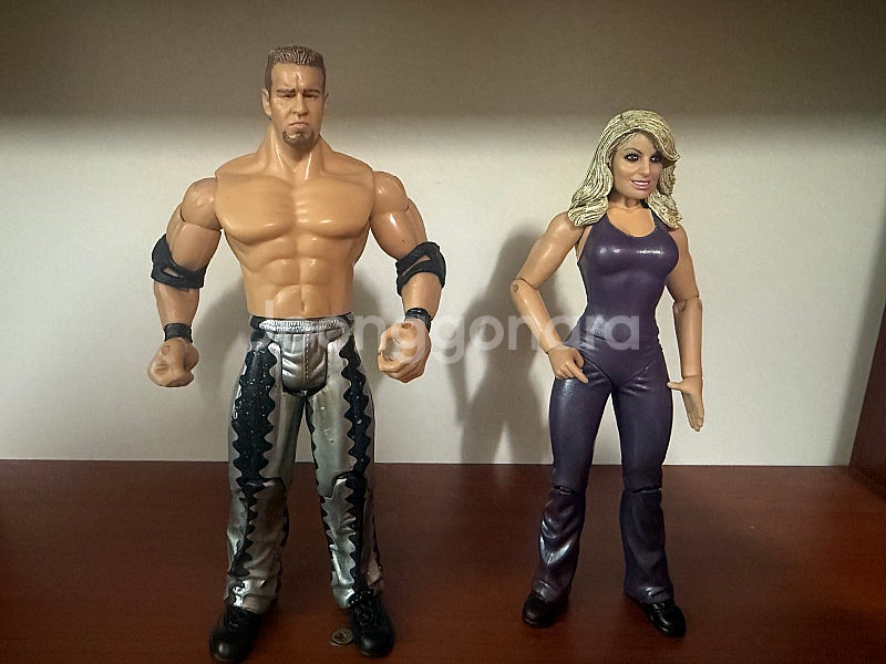 WWE 액션피규어--7