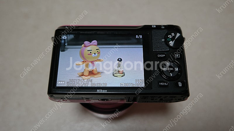 니콘 J1 핑크, 30-110mm--5