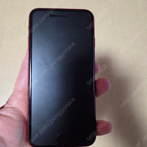 아이폰se3 256 레드 판매합니다