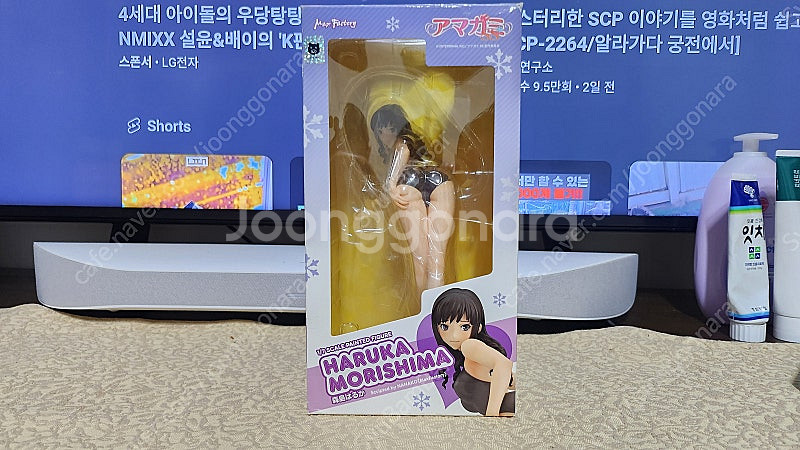 맥스팩토리 아미가미ss 모리시마 하루카 판매--0