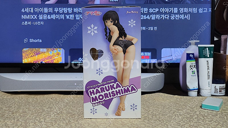 맥스팩토리 아미가미ss 모리시마 하루카 판매--1