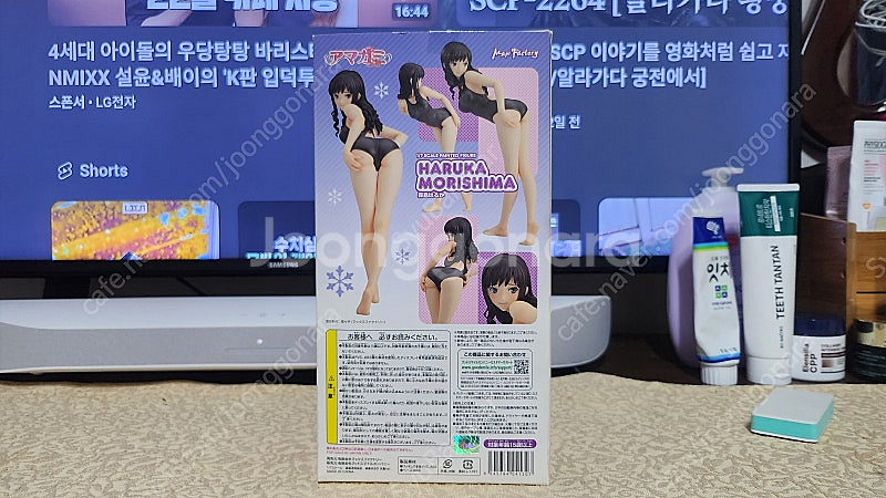 맥스팩토리 아미가미ss 모리시마 하루카 판매--2