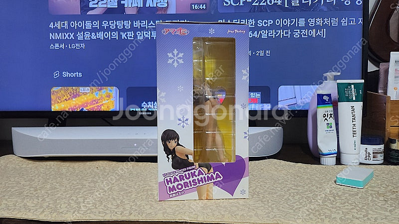맥스팩토리 아미가미ss 모리시마 하루카 판매--3