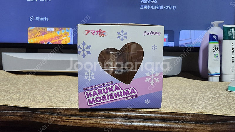 맥스팩토리 아미가미ss 모리시마 하루카 판매--4