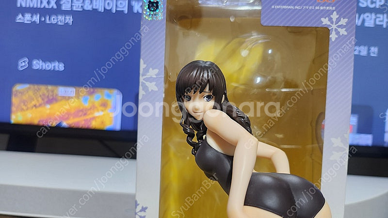 맥스팩토리 아미가미ss 모리시마 하루카 판매--7