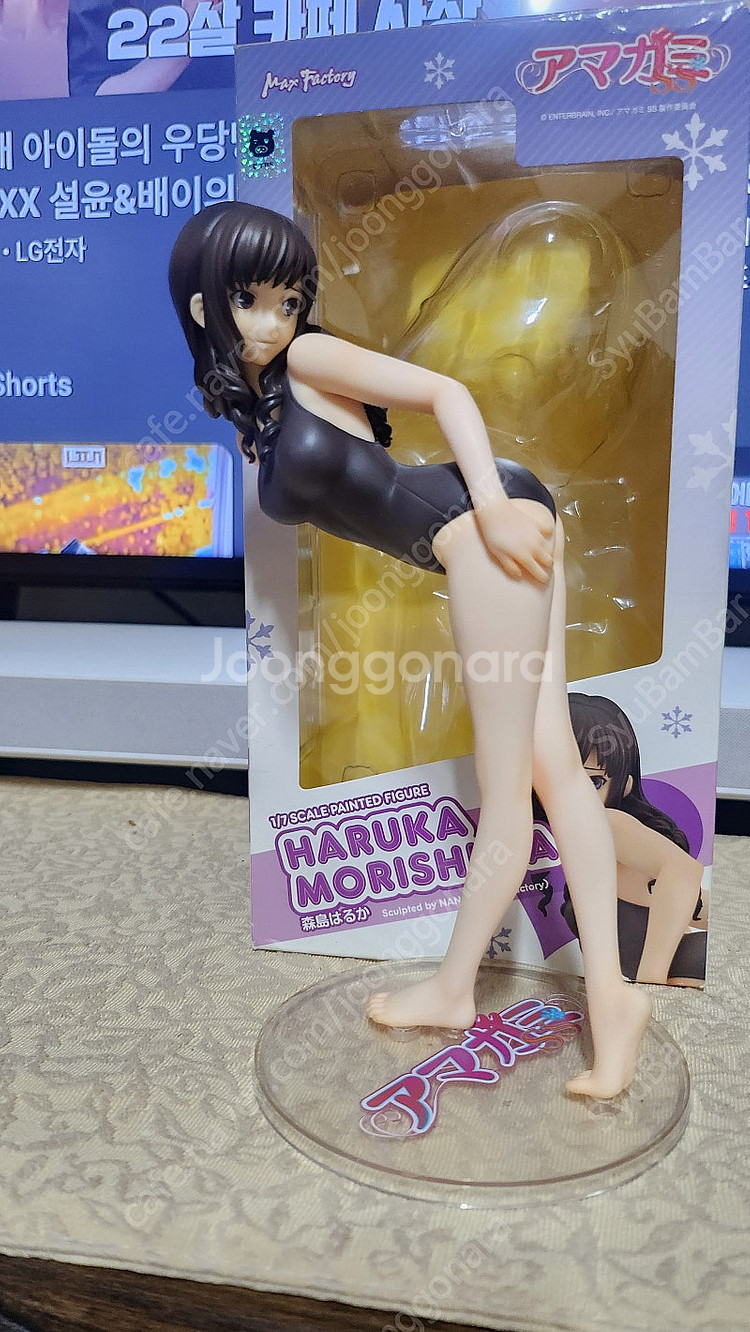 맥스팩토리 아미가미ss 모리시마 하루카 판매--9