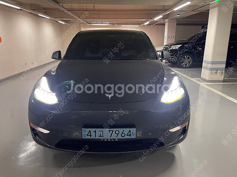 테슬라 모델y 스텐다드 2021년6월--0