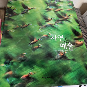 여원미디어 사진집 화보 3권(자연은 예술, 말이야기, 코끼리 이야기)