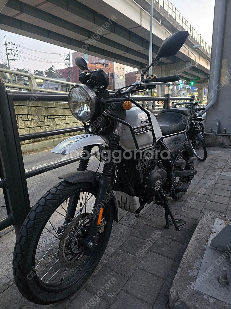 로얀엔필드 히말라얀 2019--0