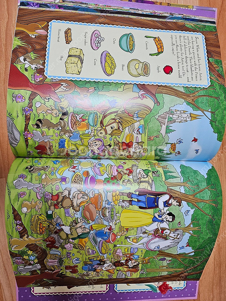 영어원서 (dk사전, 디즈니,리틀프린세스, DK Dictionary, look & find, peaunts)--3