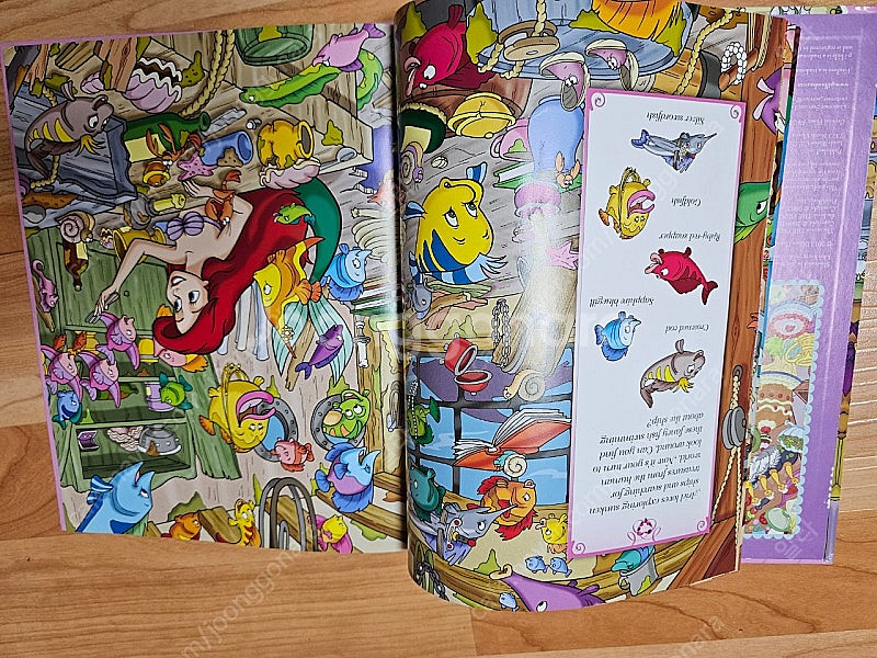 영어원서 (dk사전, 디즈니,리틀프린세스, DK Dictionary, look & find, peaunts)--4