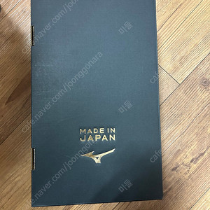 미즈노 모렐리아 살라 재팬255