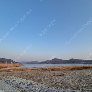 네이버멤버쉽 연간구독 같이하실 마지막 한분 구합니다 (4.7~)