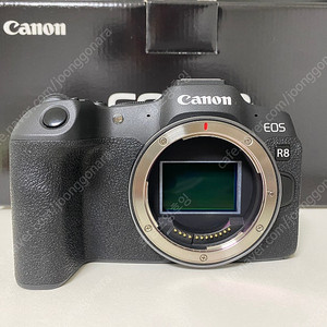캐논 EOS R8 + 익스텐션그립 일괄 판매