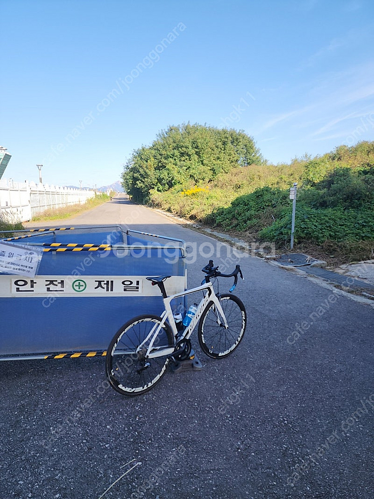 메리다 리엑토 5000 풀카본 팔거나 대차 합니다--0