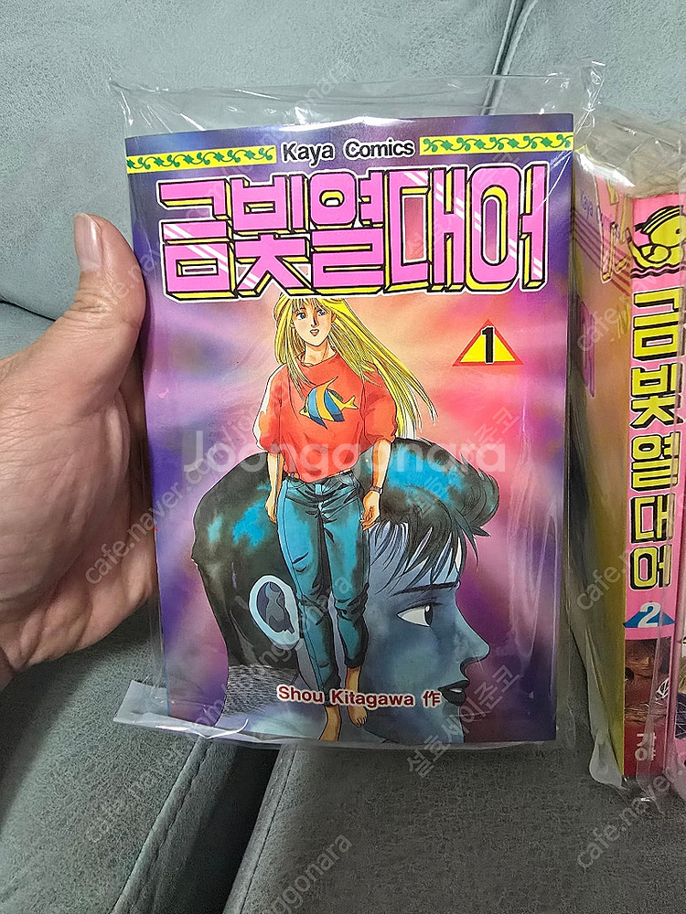 희귀만화) 금빛열대어 유리피쉬의사랑(원제 : BB피쉬)...--4