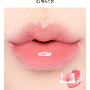데이지크 프루티 립잼 01 복숭아잼 봄웜 여쿨 갈웜 겨쿨 립밤 립글로스
