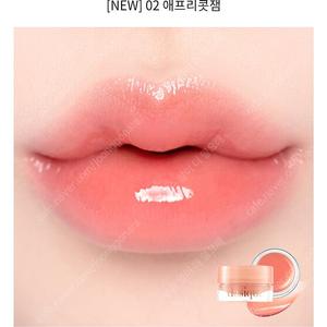 데이지크 프루티 립잼 02 애프리콧잼 봄웜 여쿨 갈웜 겨쿨 립밤 립글로스