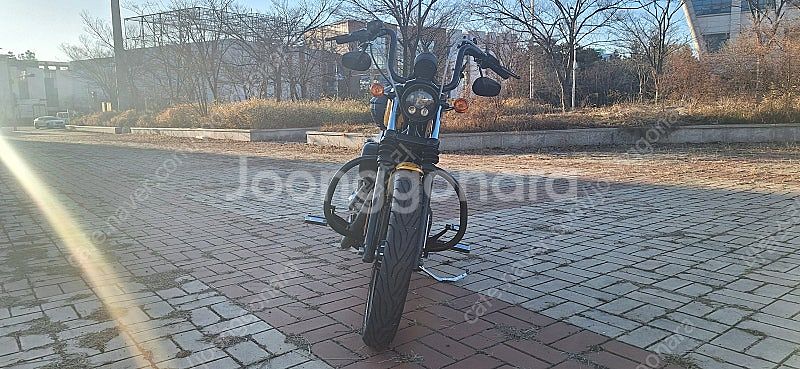 [인천 연수] 할리데이비슨/ 아이언 883--1