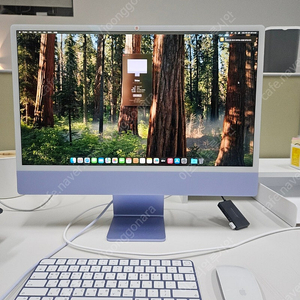 IMAC 아이맥 M1 24인치 16GB 블루 고급형 모델 판매합니다.