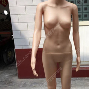 마네킹
