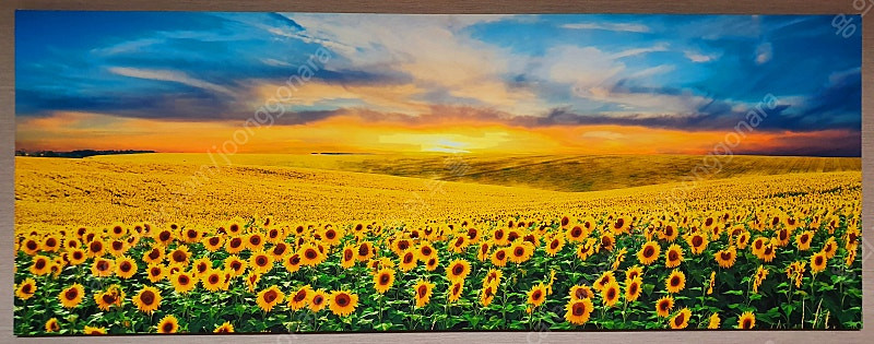 프레임 아트 황금 해바라기 들판 와이드 액자 판매합니다. 이미지