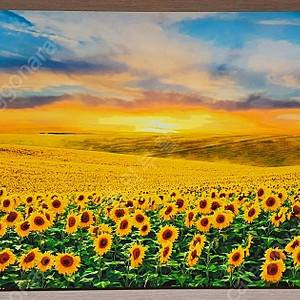 프레임 아트 황금 해바라기 들판 와이드 액자 판매합니다. 이미지