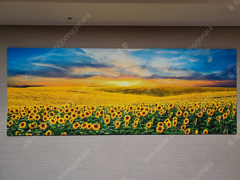 프레임 아트 황금 해바라기 들판 와이드 액자 판매합니다. 이미지