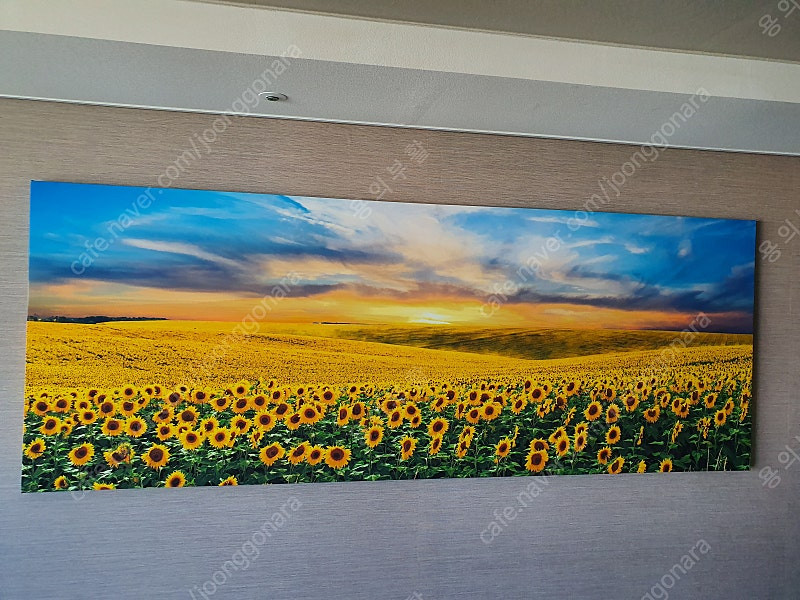 프레임 아트 황금 해바라기 들판 와이드 액자 판매합니다. 이미지