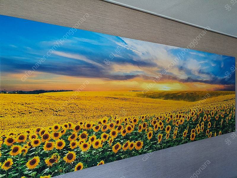 프레임 아트 황금 해바라기 들판 와이드 액자 판매합니다. 이미지