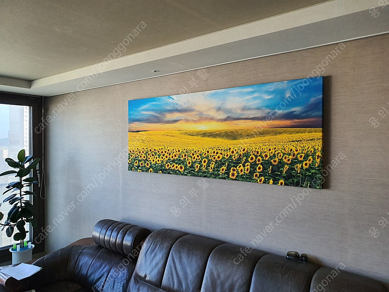 프레임 아트 황금 해바라기 들판 와이드 액자 판매합니다. 이미지