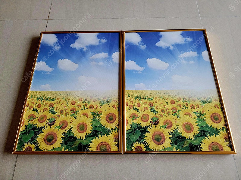 프레임 아트 황금 해바라기 들판 와이드 액자 판매합니다. 이미지