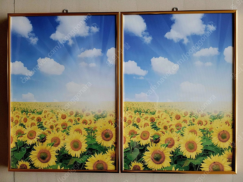 프레임 아트 황금 해바라기 들판 와이드 액자 판매합니다. 이미지