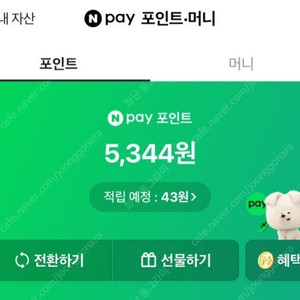 네이버페이포인트5344원