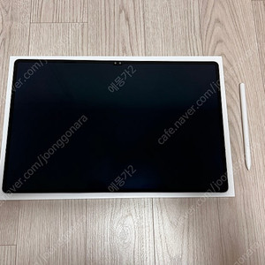 삼성 갤럭시탭 S10 울트라 1TB WIFI 실버